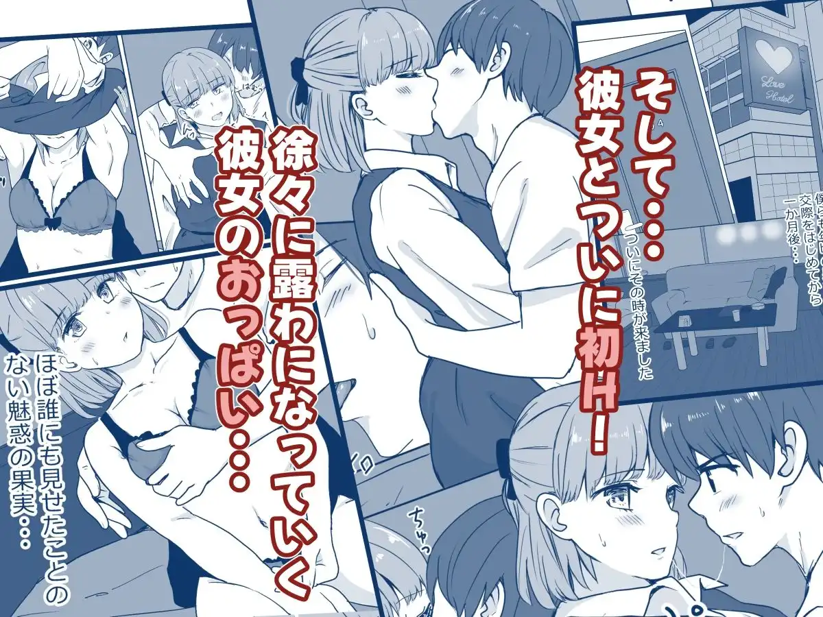 彼女の胸を他の男に見られた話 - サンプル2