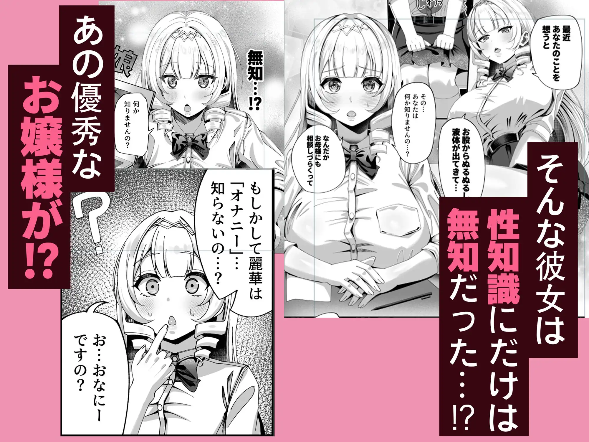 性知識にだけ無知すぎるお嬢様 - サンプル2