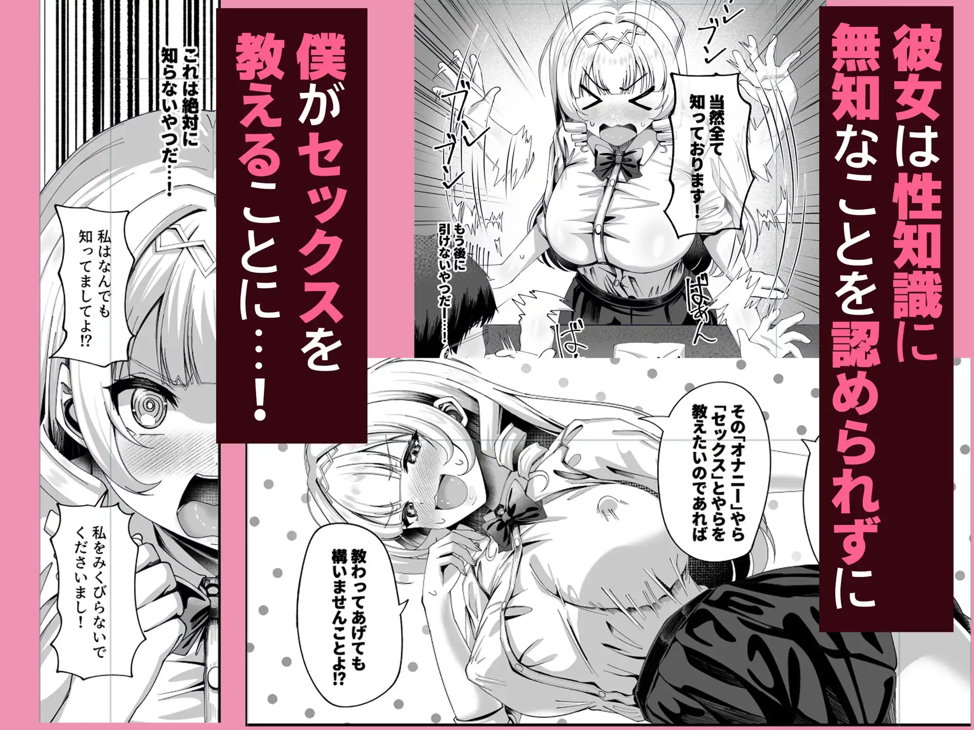 性知識にだけ無知すぎるお嬢様 - サンプル3